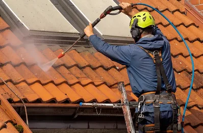 Démoussage et hydrofuge de toiture à Pulvérières